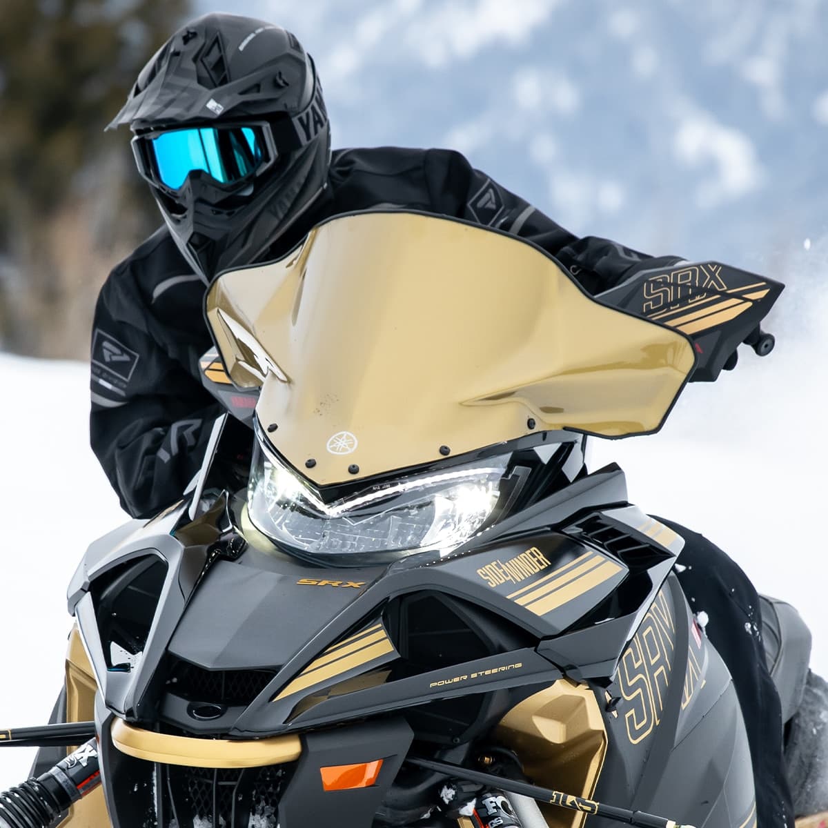 Low Sport Windshield